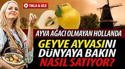 Geyve Ayvası’nı dünyaya nasıl satıyor?