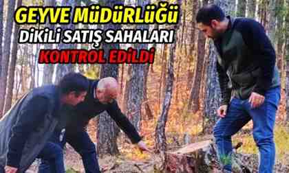 Geyve Müdürlüğü Dikili Satış Sahaları Kontrol Edilmeye Başlandı