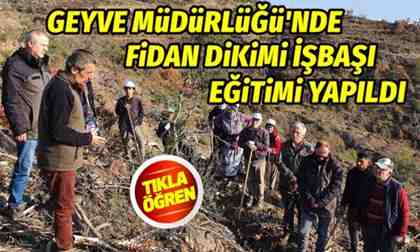 Geyve Müdürlüğü’nde Fidan Dikimi İşbaşı Eğitimi Yapıldı