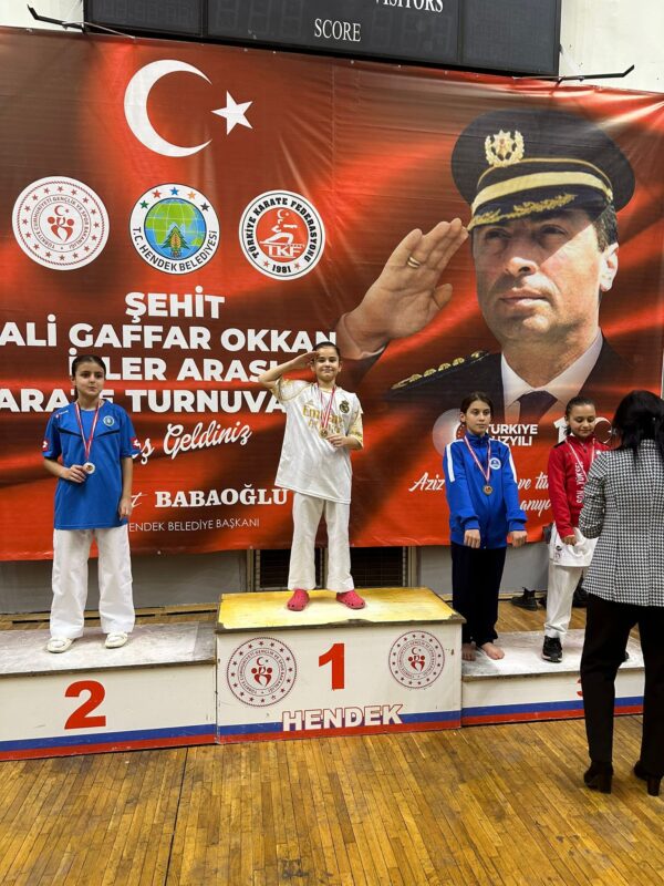 Geyve Karate Takımı 6 madalya ile döndü