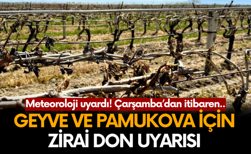 Geyve ve Pamukova dikkat! Zirai don uyarısı..