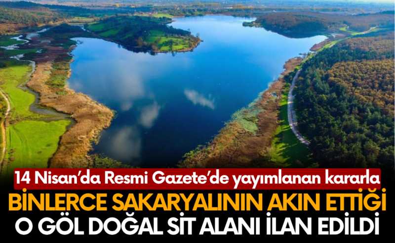 Binlerce Sakaryalının akın ettiği o göl doğal sit alanı ilan edildi!