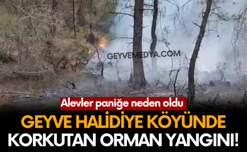  Geyve Halidiye’de Orman Yangını Korkuttu