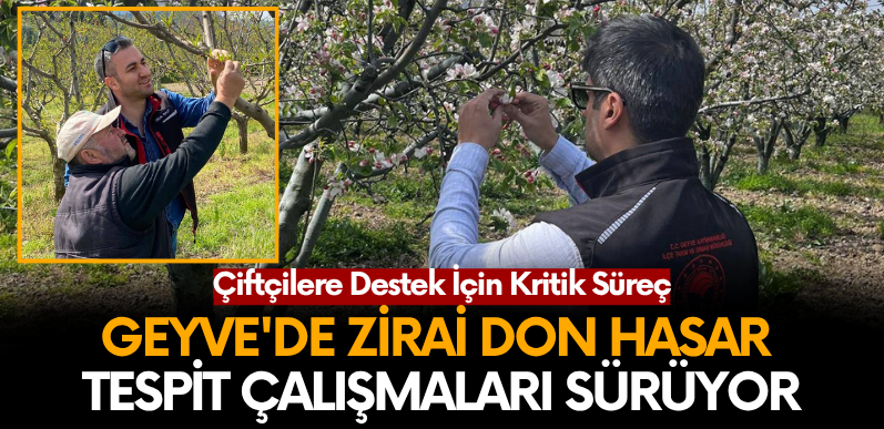 Geyve’de zirai don hasar tespit çalışmaları sürüyor