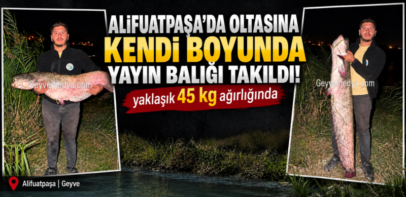Sakarya Nehri’nde dev yayın balığı! Balıkçının oltasına takıldı