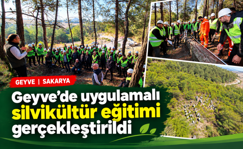 Geyve’de uygulamalı silvikültür eğitimi gerçekleştirildi