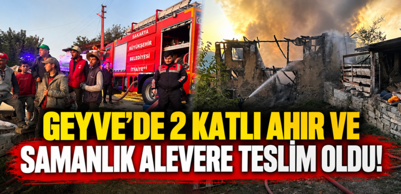 Geyve’de 2 katlı ahır ve samanlık alevlere teslim oldu