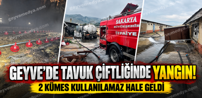 Geyve’de tavuk çiftliğinde yangın! 2 kümes kullanılamaz hale geldi