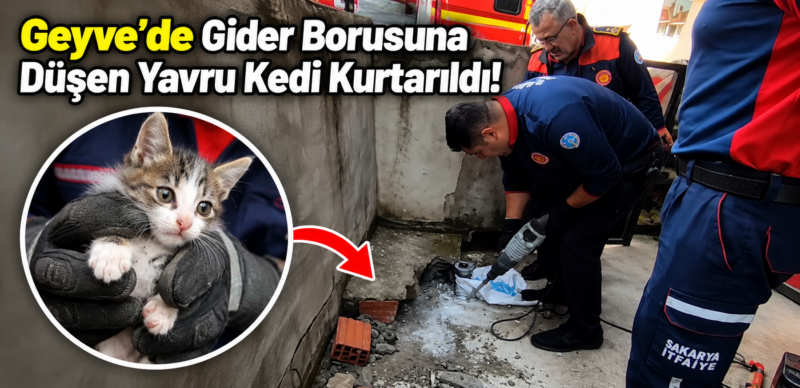 Geyve’de Gider Borusuna Düşen Yavru Kedi Kurtarıldı!