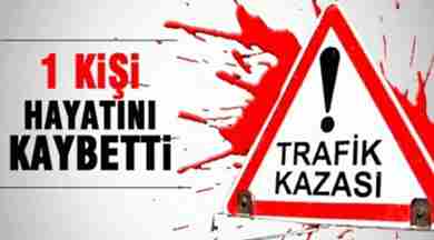 Davut Doğan Hayatını Kaybetti