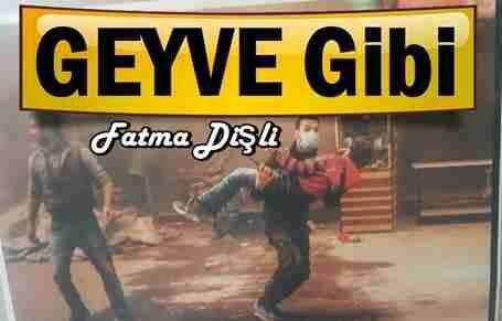 Geyve Gibi !