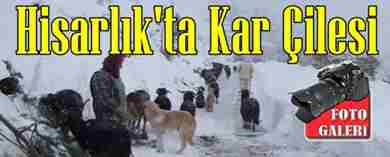 geyve-hisarlik koyu-koyun-surusu-kis-sartlari- (9)
