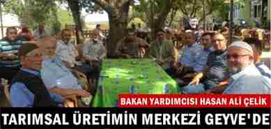 Çelik, Tarımsal Üretimin Üssü Geyve’de