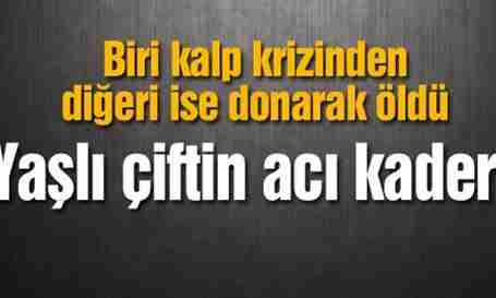 Geyve’de Yaşlı Çifti Ölüm’de Ayıramadı.