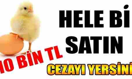 Yumurtanın üretimi ve satışında yeni dönem başlıyor.